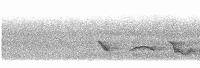 Чернокрылая пиранга - ML619666873
