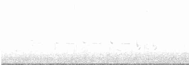 Sperlingsvogel, unbestimmt - ML619667131