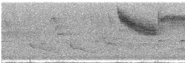 Голубокрылая червеедка - ML619667372