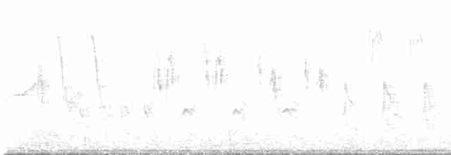 Lavandera Blanca - ML619667636