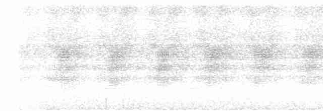 Turuncu Karınlı Yaprakkuşu - ML619667656