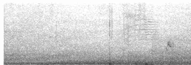 灰頭鷦鶯 - ML619668248