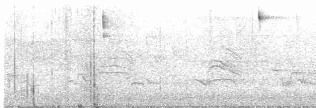 Черногорлая хвойница - ML619668249
