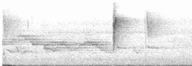 Черногорлая хвойница - ML619668250