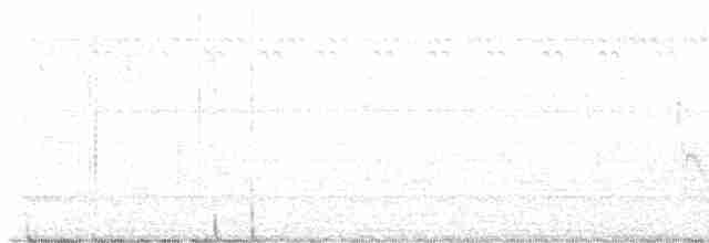 Gray-headed Lapwing - ML619668552