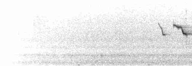 Трясогузковый певун - ML619669106