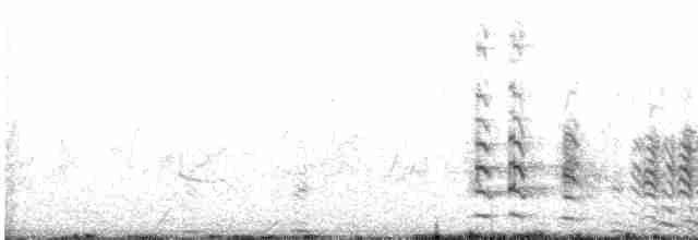 Пірникоза рябодзьоба - ML619669124