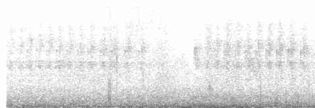 黑領椋鳥 - ML619669212