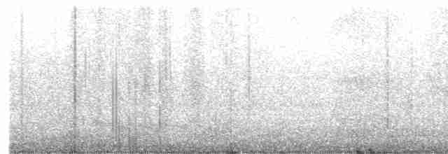 黑領椋鳥 - ML619669213