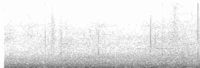 黑領椋鳥 - ML619669215