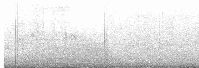 黑領椋鳥 - ML619669216