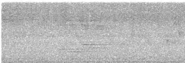 Дроздовый певун - ML619669284