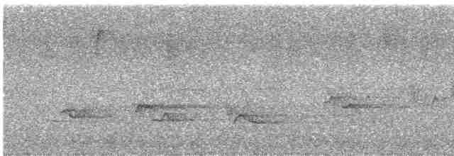 Cerulean Warbler - ML619669469