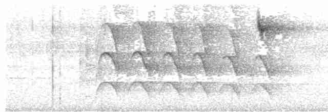 Halsband-Baumspäher - ML619669487