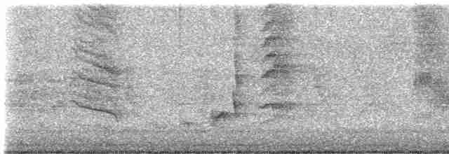 drozdec černohlavý - ML619669568
