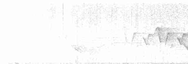 Бурый соловьиный дрозд - ML619669592