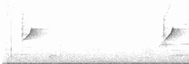 Коричневогорлая нектарница - ML619670283
