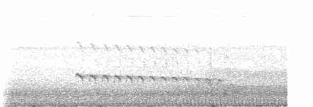 White-throated Kingfisher - ML619670724