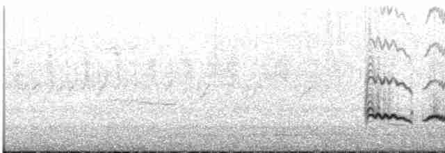 Doğulu Mavi Ardıç - ML619671038
