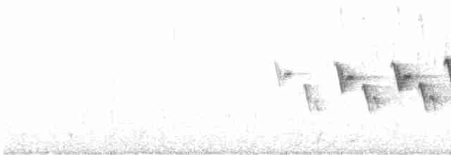 Nashville Warbler - ML619671054
