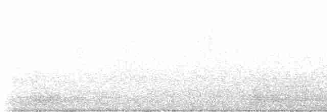 Gray Catbird - ML619671569