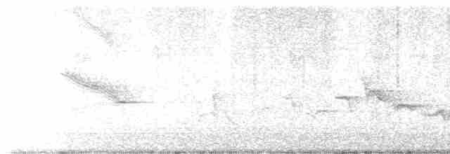 Черногорлая хвойница - ML619672007