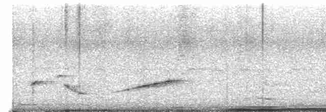 Troglodyte à nuque rousse - ML619672128