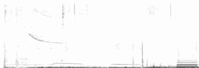 Lesser Goldfinch - ML619672859