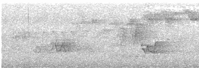Cerulean Warbler - ML619673588