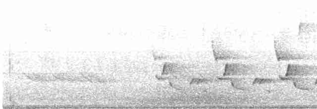 Каролинский крапивник - ML619673818