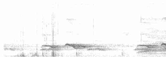 Зозуля білогорла - ML619674461