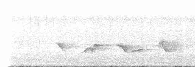 Kara Kanatlı Piranga - ML619675208