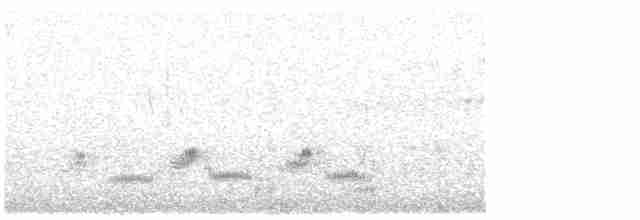 Western Orphean Warbler - ML619675267
