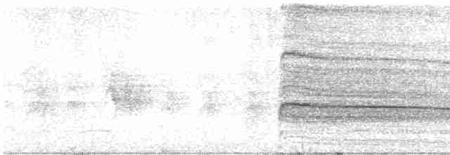 káně rudochvostá (ssp. calurus/alascensis) - ML619675370