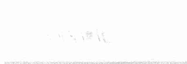 Black-throated Gray Warbler - ML619675780