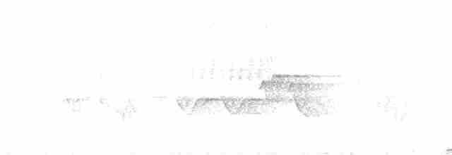 Paruline vermivore - ML619675912