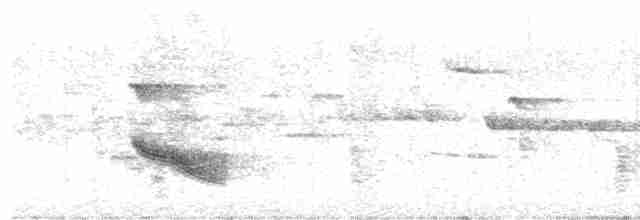 Дрізд-короткодзьоб бурий - ML619675997