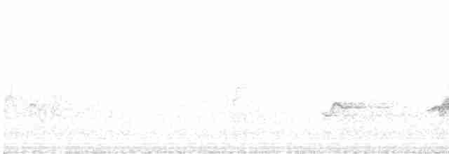 Чернокрылая пиранга - ML619676115