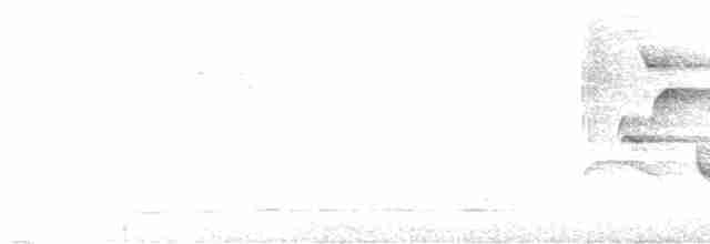 Turuncu Gagalı Bülbül Ardıcı - ML619676268
