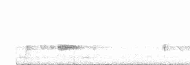 Kara Kanatlı Piranga - ML619677282