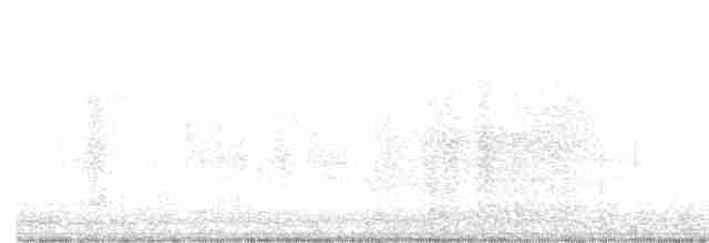 Kara Gagalı Saksağan - ML619678054