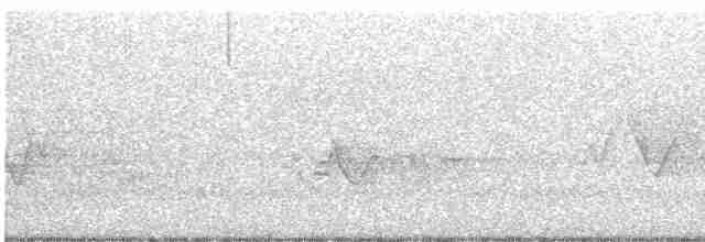 Голубокрылая червеедка - ML619678925