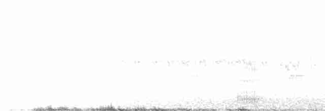 Белогорлая зонотрихия - ML619679279