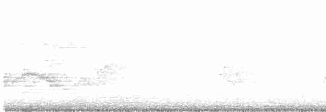 Дрізд-короткодзьоб бурий - ML619679714