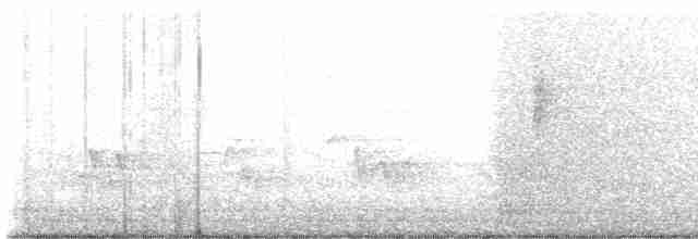 Черногорлая хвойница - ML619679939