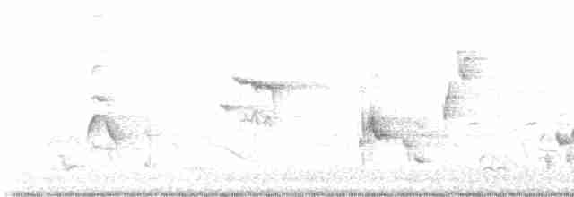 Gray Catbird - ML619680309