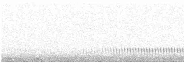 Eurasian Nightjar - ML619681407