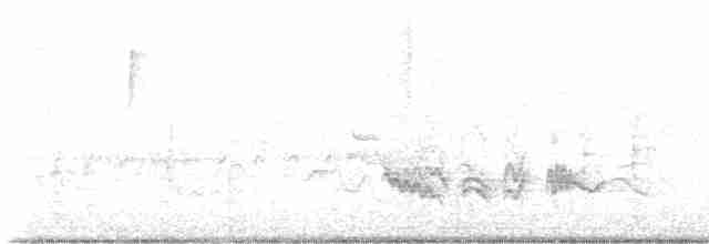 Doğulu Mavi Ardıç - ML619681678