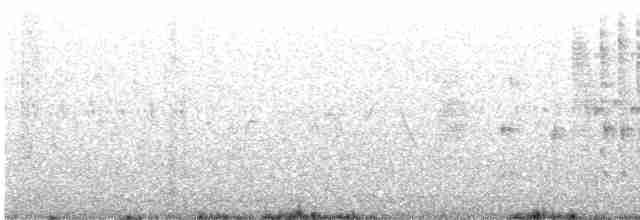 Bataklık Çıtkuşu - ML619682816