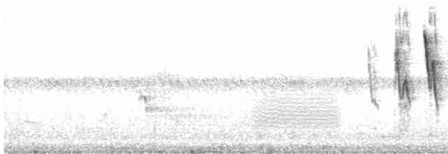 Малая вильсония - ML619682952
